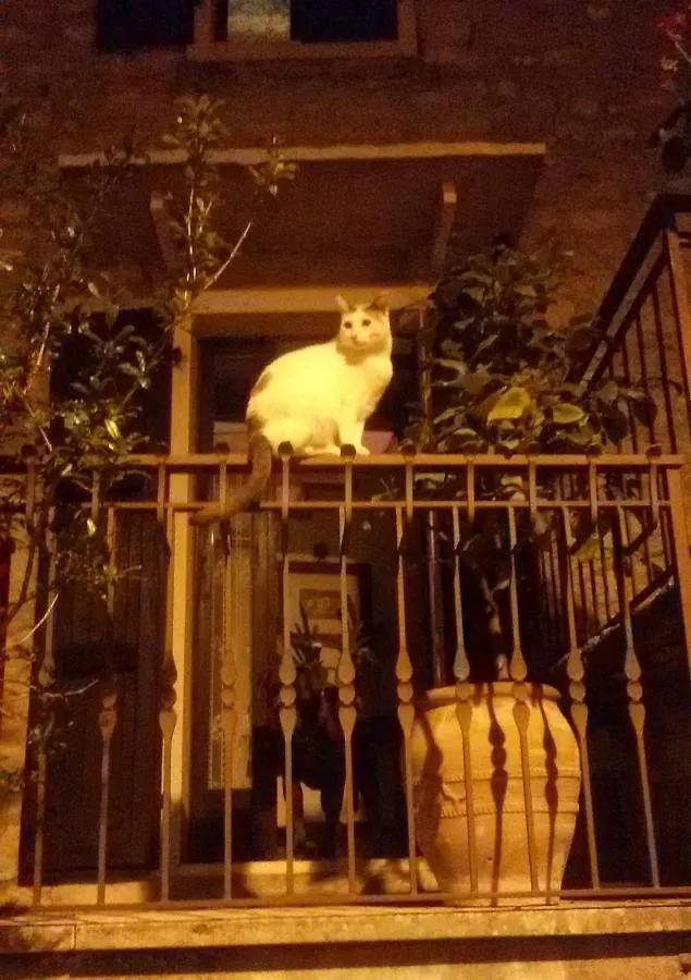 Beb Da Paolo Con Vista Lago 圣奇诺·迪·蒙塔尼亚 住宿加早餐酒店